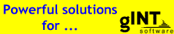 gINT Software
